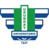 乌伦代大学